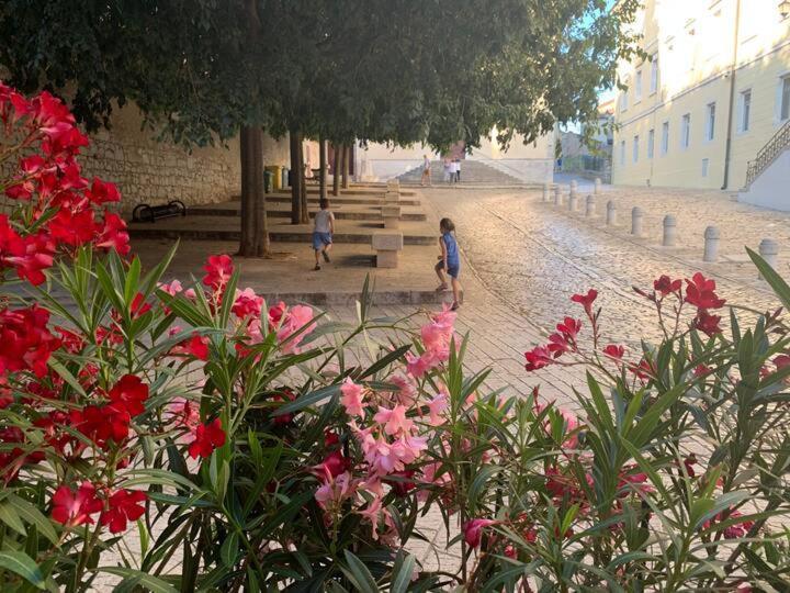 Feel The City Atmosphere Ρόβινι Εξωτερικό φωτογραφία