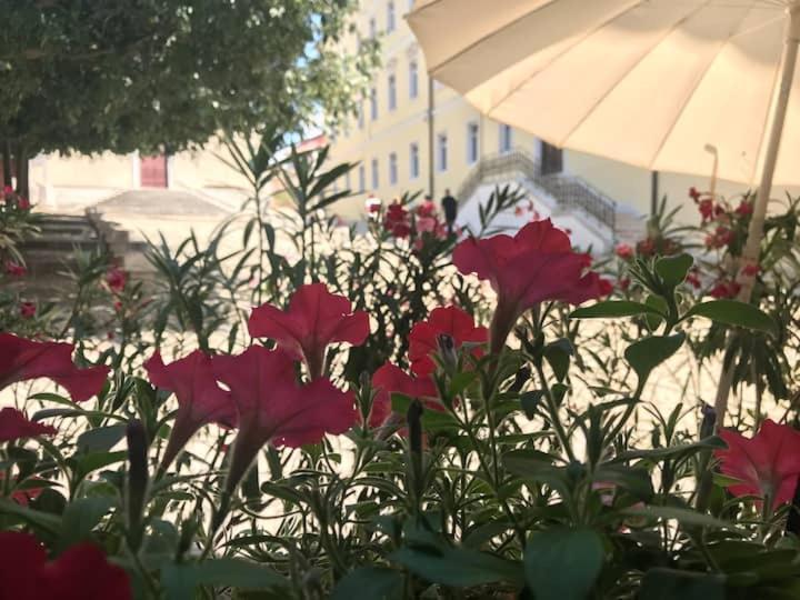 Feel The City Atmosphere Ρόβινι Εξωτερικό φωτογραφία
